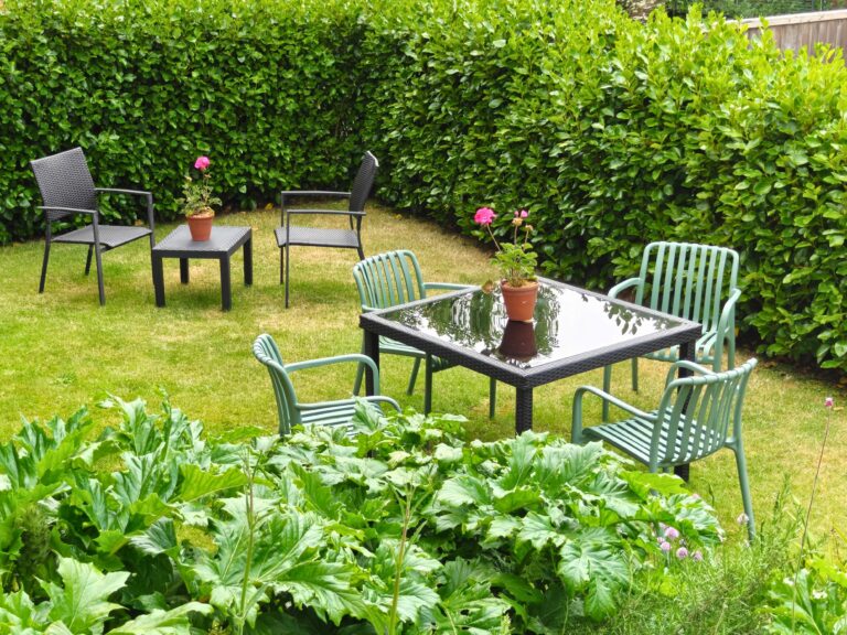 Fernhurst Holiday Apartments @ Shanklin - COMMUNAL GARDEN